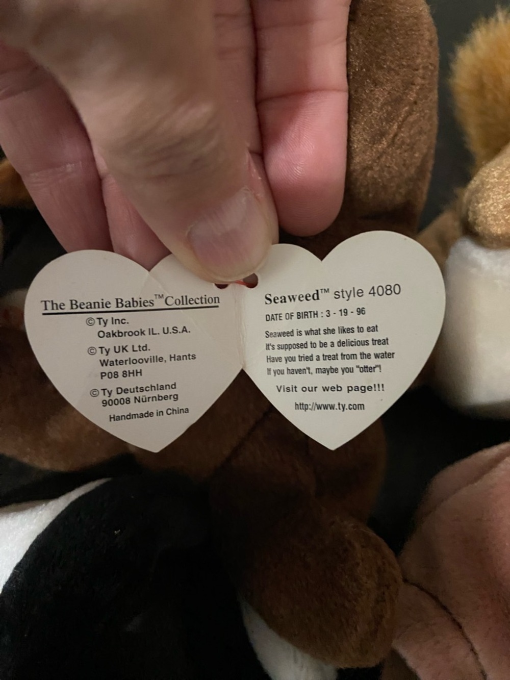 Ty Beanie Babies collection of 14 woodland animals 4 without tags - Picture 7 of 10